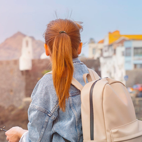 5 Piezas De Accesorios Para El Cabello Elásticos Decorativos