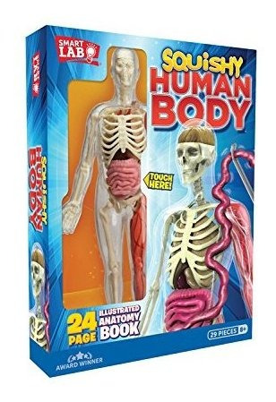 Smartlab Toys Squishy Human Body