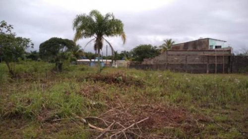 Bom Terreno Lado Praia Em Ótimo Local - Itanhaém 5223 | Npc