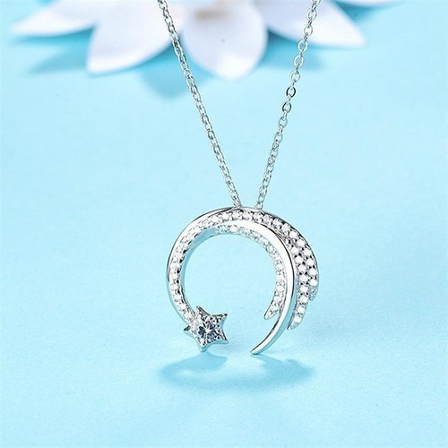 * Collar De Abeto Chino Meteor Garden Para Mujer 925
