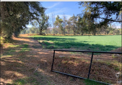 Imagen 2 de 4 de Inversionistas. Terreno Plano Ideal Para Desarrolladores / Bodega / Siembra