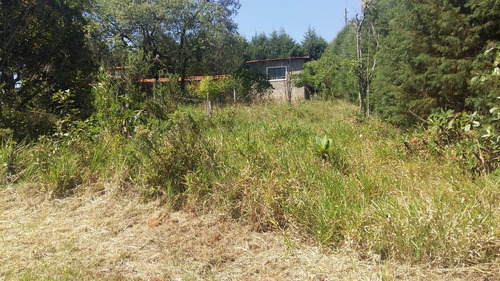 Imagem 8 de 14 de Sítio 20.000 M2 C/ Casa E Poço Artesiano Oportunidade