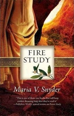 Libro Fire Study