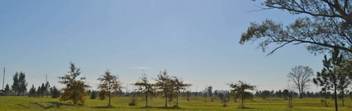 Imagen 7 de 12 de Terreno - Club De Campo Las Hojas