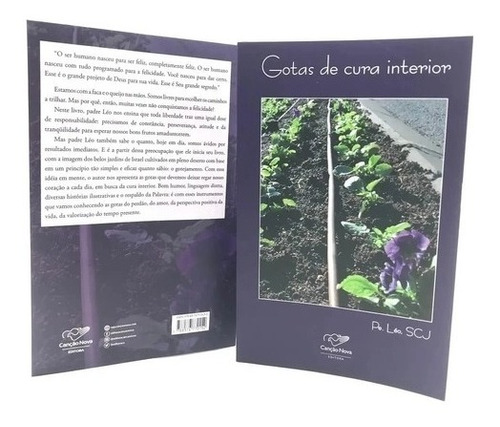 Livro Gotas De Cura Interior Padre Léo