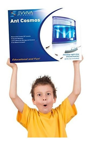 Ant Farm Con Luz Led. Disfruta De Un Magnifico Ecosistema. I