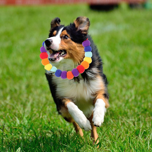 Logofun Collar De Perro Con Pompón, Bola De Felpa, Collar De