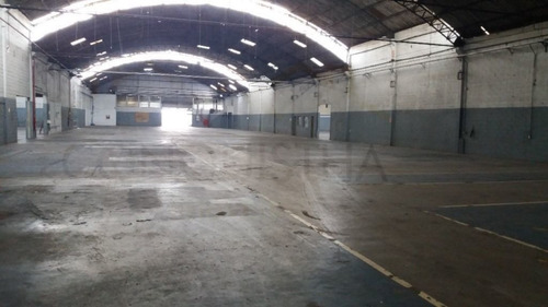 Imagem 6 de 7 de Galpao Industrial - Serraria - Ref: 1784 - V-3965