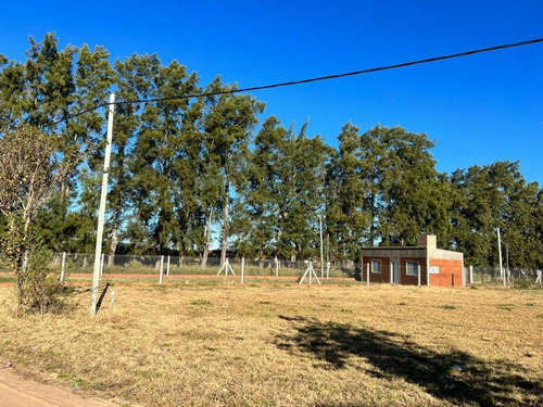 Imagen 5 de 9 de Ruta Prov Nº 1 Km 36 - Lote En Venta - Santa Rosa De Calchines