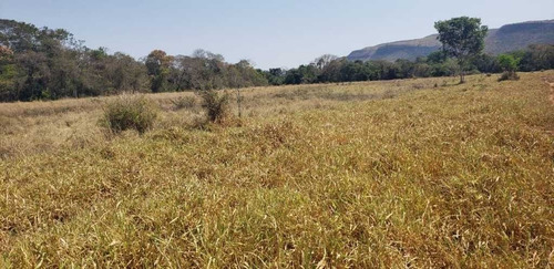 Fazenda De Gado Arinos Mg 2.250 Hectares 65.000,000,00 - 38491