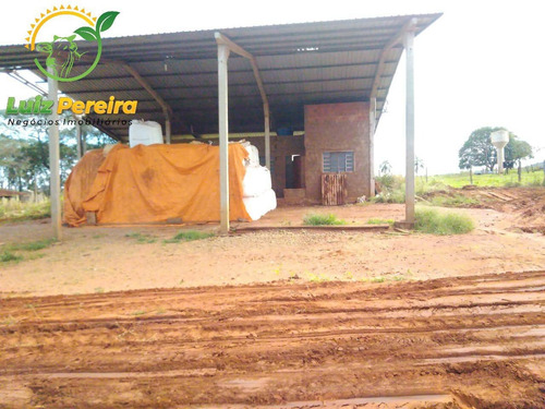 Imagem 6 de 9 de Fazenda À Venda Em Antonio João - Ms - De 818 Hectares (dupla Aptidão) - 1749