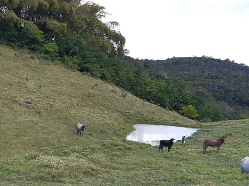 Imagem 10 de 15 de Fazenda Para Venda Em União Dos Palmares, Zona Rural - In - 0010_1-2015625