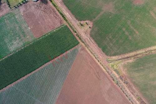 Imagen 4 de 12 de Terreno En Venta En Nextipac, Zapopan De 6 Hectáreas