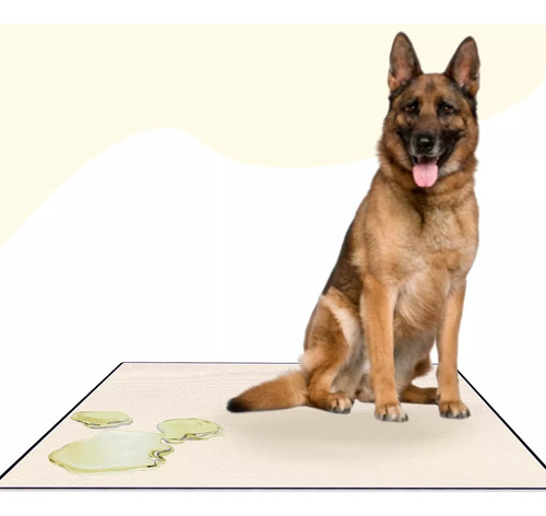 Sanitário Canino Xixi Dog Banheiro Pet Tapete Higiênico Cães