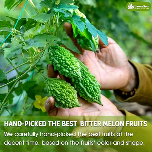120 Bolsitas De Té De Melón Amargo, 100% Natural Y Puro Sin