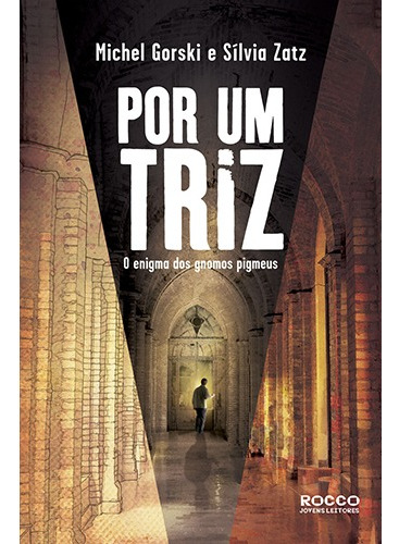 Livro por um triz de Michel Gorski e Sílvia Zatz Edição 1 o enigma dos Gnomos pigmeus em português capa blanda 2012 editora Rocco jovens leitores