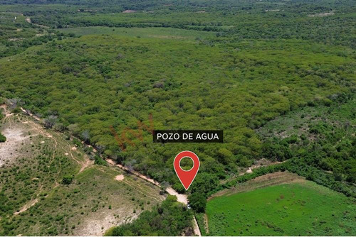 Inversión Única En El Quelite, Sinaloa: Terreno Ideal Para Tu Proyecto