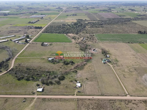 Chacra En Venta Los Cerrillos, 1 Has Con Casa De Dos Dormitorios