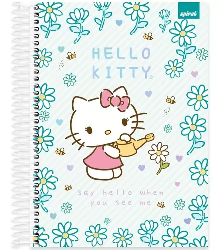 Hello Kitty 10