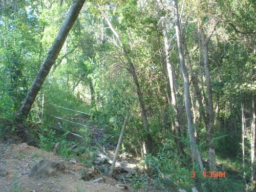 Imagen 19 de 21 de Camino Nonguen S / N , Sector Reserva De Nonguen Concepc...