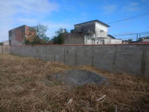 Imagem 5 de 5 de Terreno - Venda - Jardim Itapel - Itanhaem - Ita2580