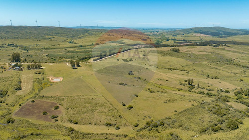 Chacras En Venta Ruta 39 San Carlos - Oportunidad!