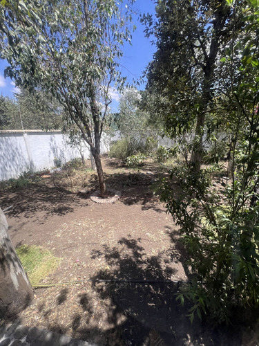 Vendo El Mejor Terreno De Bosques De Viena