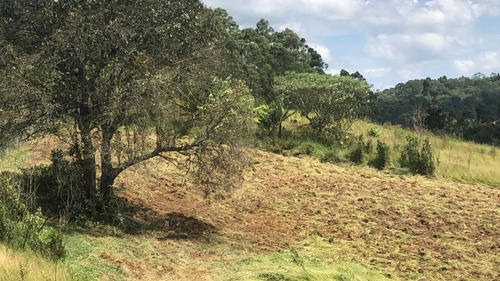 Imagem 5 de 6 de K.a Terreno 1.000m²