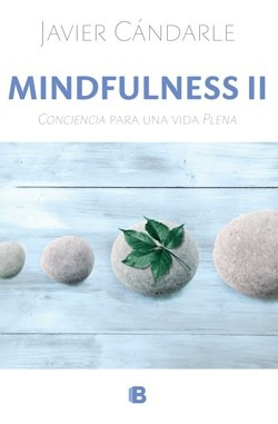 Mindfulness Ii - Javier Candarle