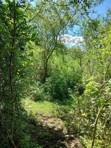 En Venta Espectacular Lote Arbolado De 4000 M2 | Villa De Las Rosas | Escritura Y Servicios