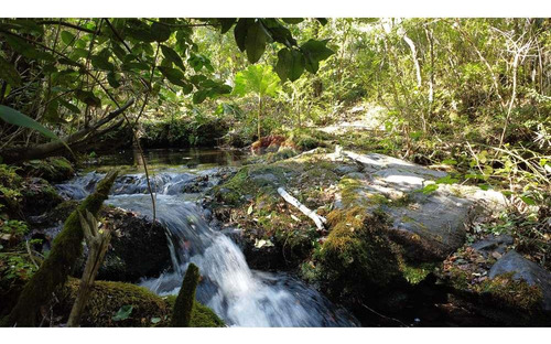 Plot In Pucón, Los Riscos Safe Investment