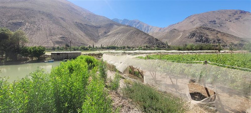 Agrícola En Venta En Vicuña