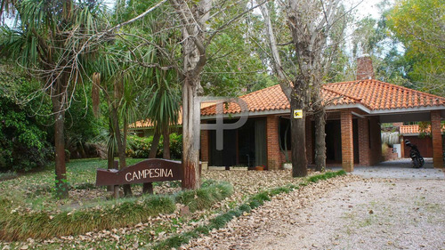 Imagen 1 de 15 de Casa En Venta Punta Ballena 3 Dormitorios, 1050 M2 Terreno