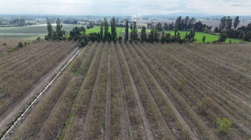 Agrícola En Venta En San Javier / Orilla De Maule