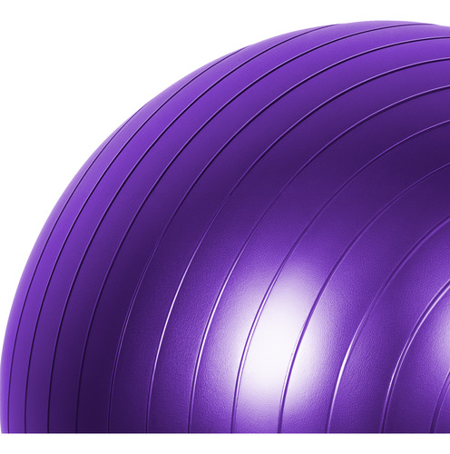 Pelota Fitball 65cm Para Pilates, Yoga Y Gimnasio Rhino