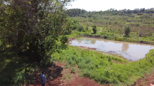 Imagem 6 de 7 de Chácara À Venda, 4145 M² Por R$ 380.000,00 - Centro - Foz Do Iguaçu/pr - Ch0016