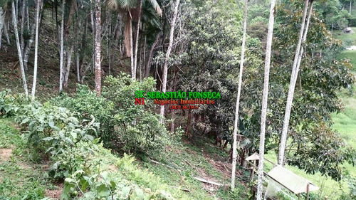Sítio 30 Mil M² Em Paraibuna - 1677