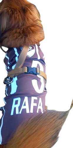 Camiseta Platense Para Perros A Medida Personalizada