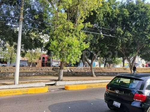 Imagen 11 de 11 de Venta De Terreno En Colonia La Piedad, Acceso Por Av. Universidad, Querétaro