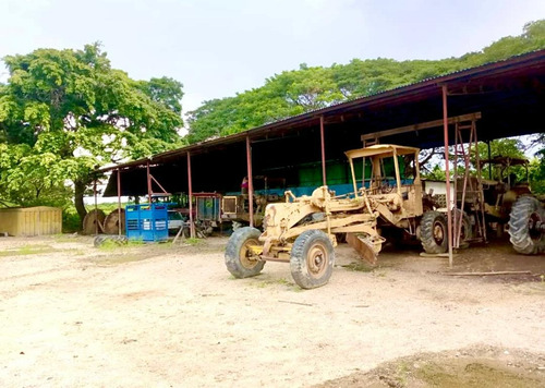 Inmobiliaria Mundo Inn Vende En Cojedes, Hermosa Finca Productiva