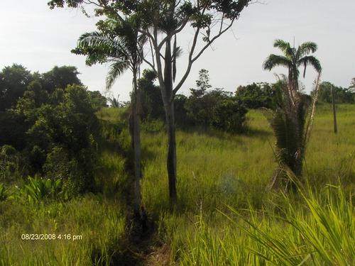 Imagen 6 de 9 de Terreno Con Proyecto De Ecoturismo En Higuerote