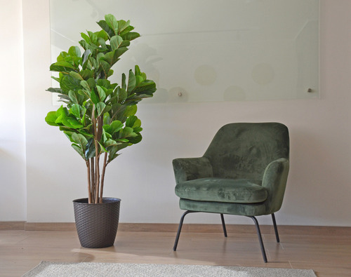 Planta Artificial Ficus Lyrata 150 Cm 180 Hjs / Arbusto Real