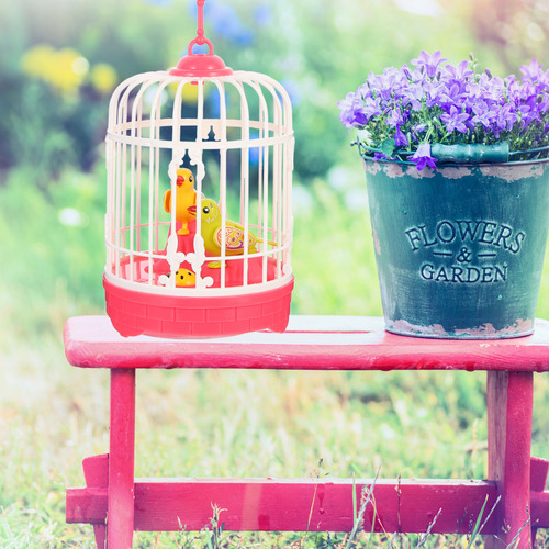 Pájaro De Inducción Activado Por Voz Bird Cage