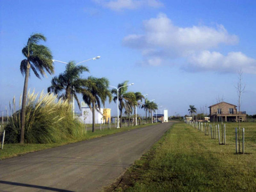 Imagen 2 de 12 de Terrenos En Punta Chacra Roldan