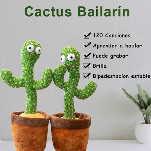 Cactus Bailarín, Cactus Parlante Que Repite Lo Que Dices