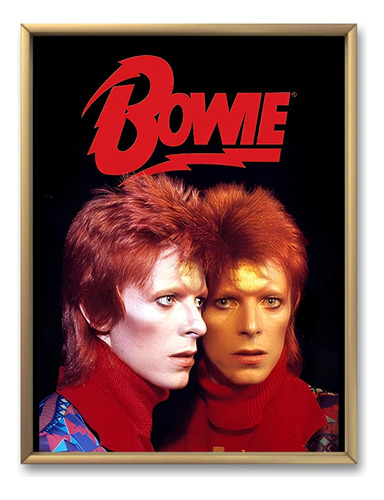 Cuadro Decorativo Póster David Bowie 