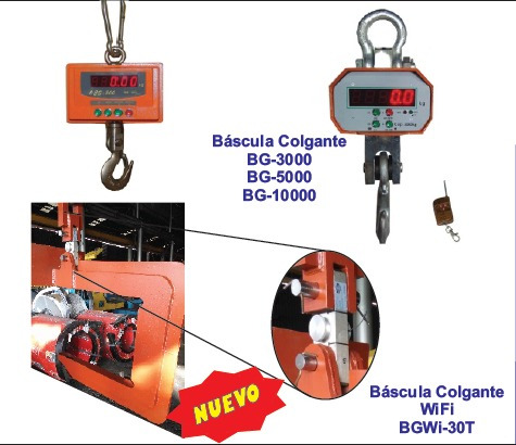 Bascula Colgante De Grua 10 Tons 10000 Kg