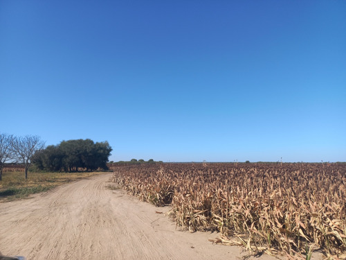 Flores Propiedades Vende Finca En Taquello (a 11 Kms. De Termas De Rio Hondo)