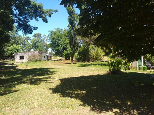 Imagen 6 de 19 de Chacra 4 Hectareas - Los Cardales - Ruta 39