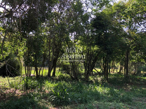 Imagem 14 de 15 de Chácara Para Venda Em Novo Hamburgo, Lomba Grande - 113128-cw_2-1345916